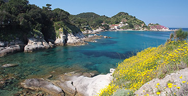 Spiaggia del Cotoncello a sant'Andrea